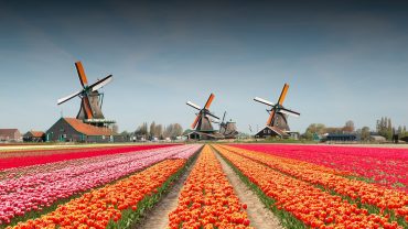Amsterdam holiday packages