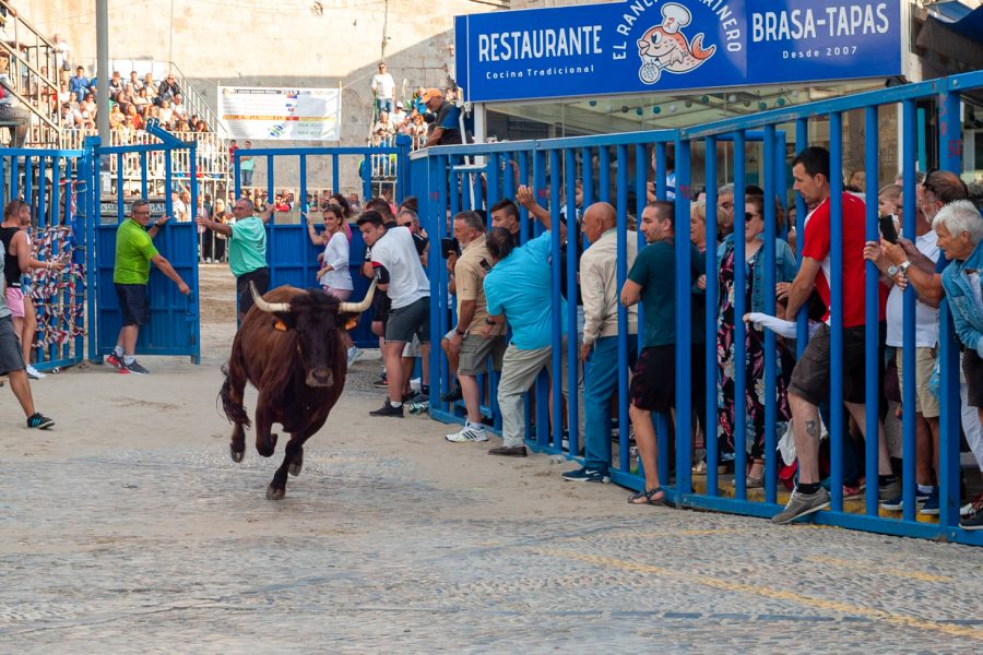 Running of the Bulls Tour