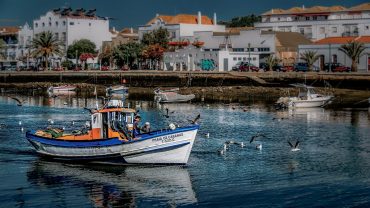 Tavira tours