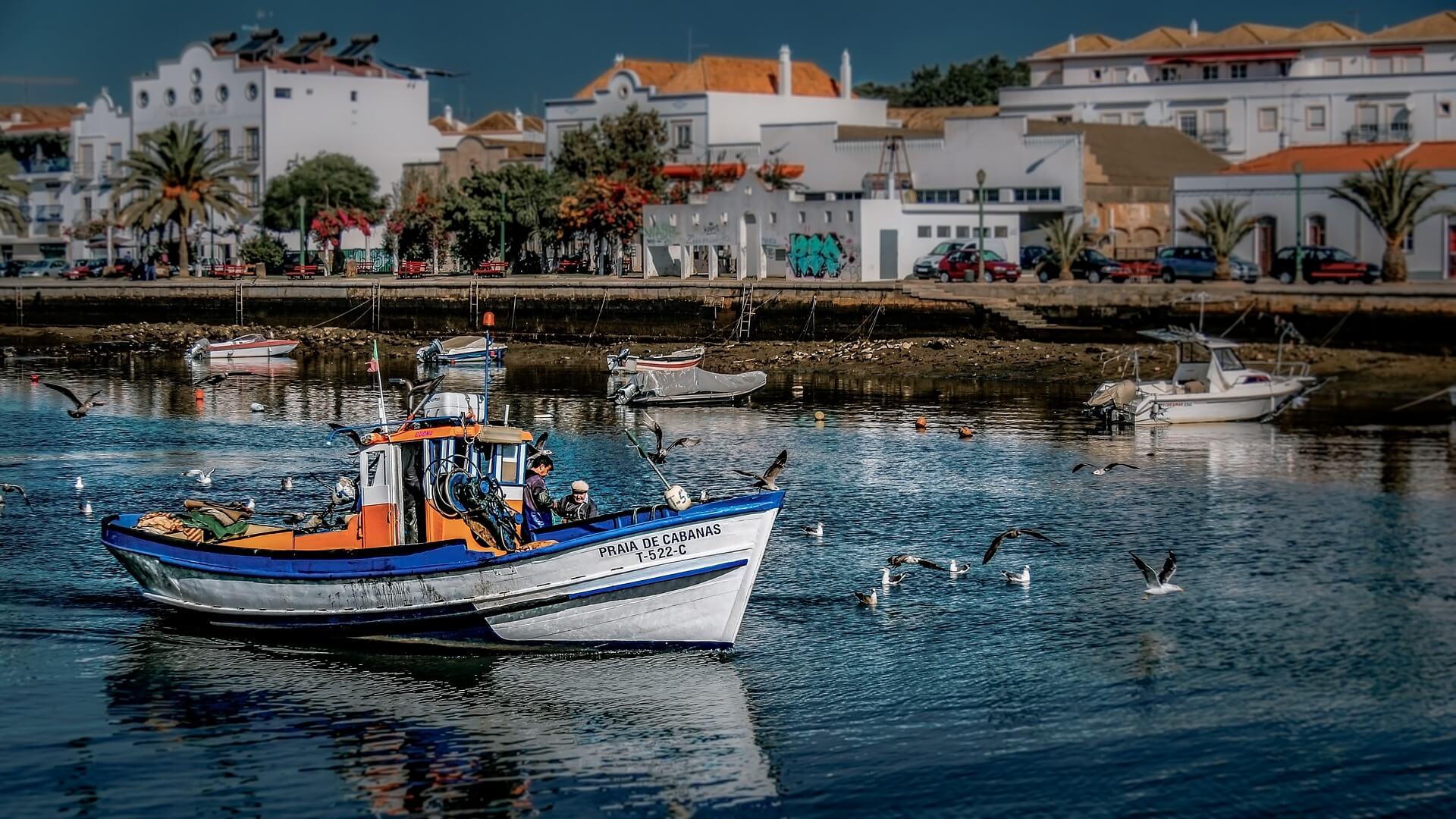 Tavira