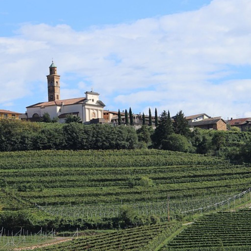 Italian Wine and Cheese Tours