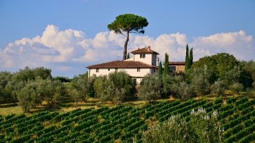 Italian Wine and Cheese Tours