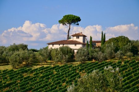 Italian Wine and Cheese Tours