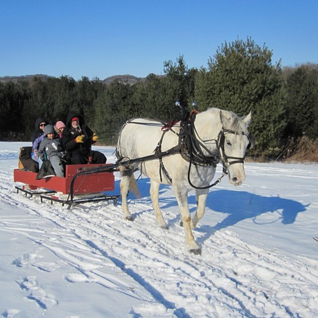 Best Sledge Rides in Europe