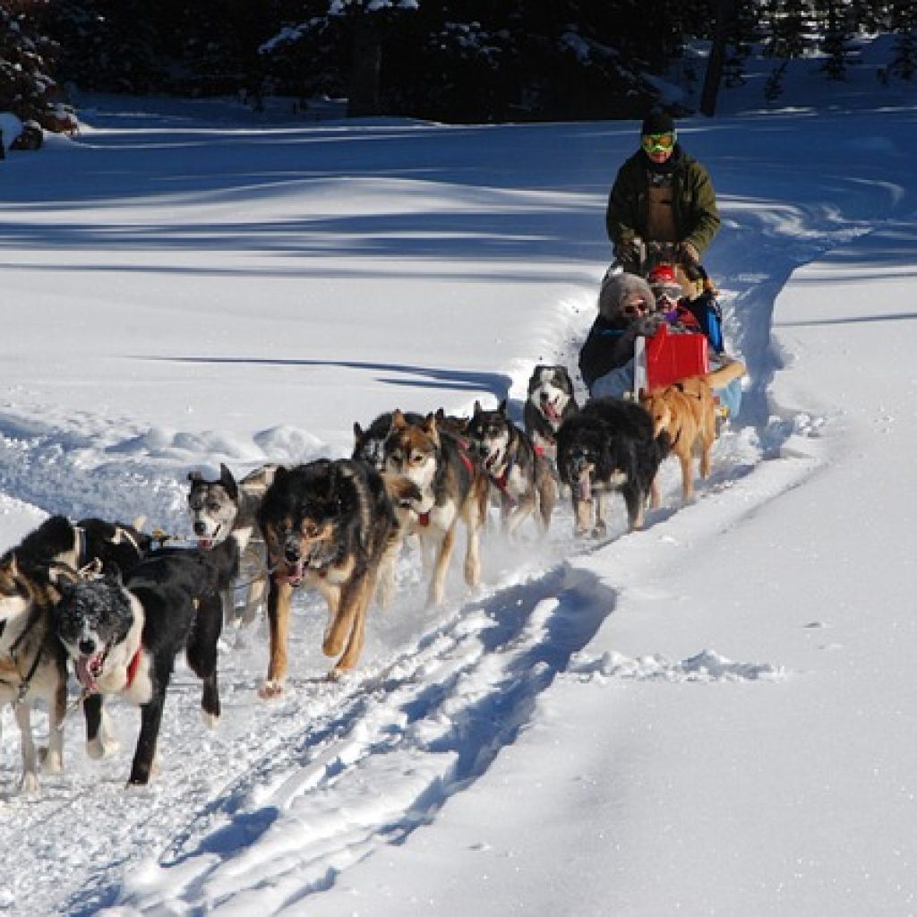 Best Sledge Rides in Europe