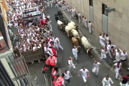 Running of the Bulls – 5-Day Adrenaline & Culture Tour in Pamplona, Spain