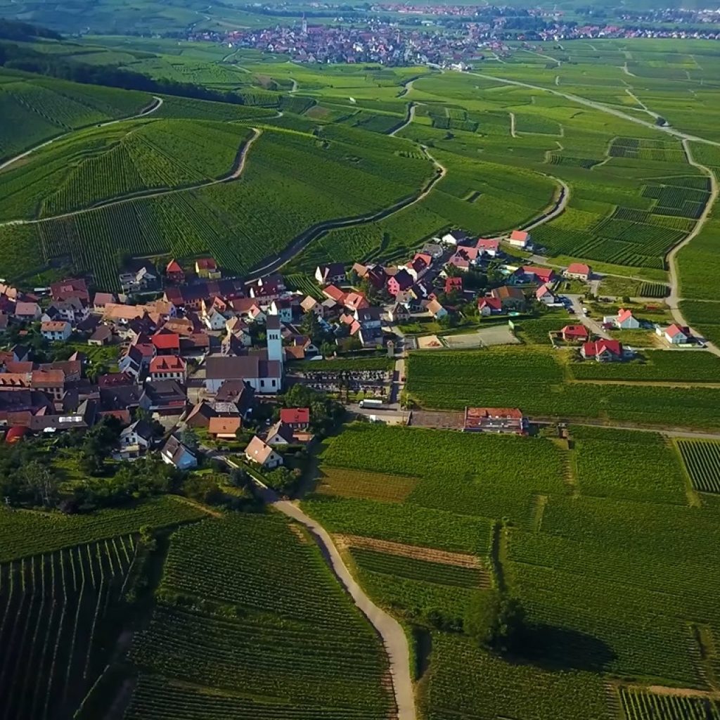 Alsace-Wineries-Vineyards-Tour