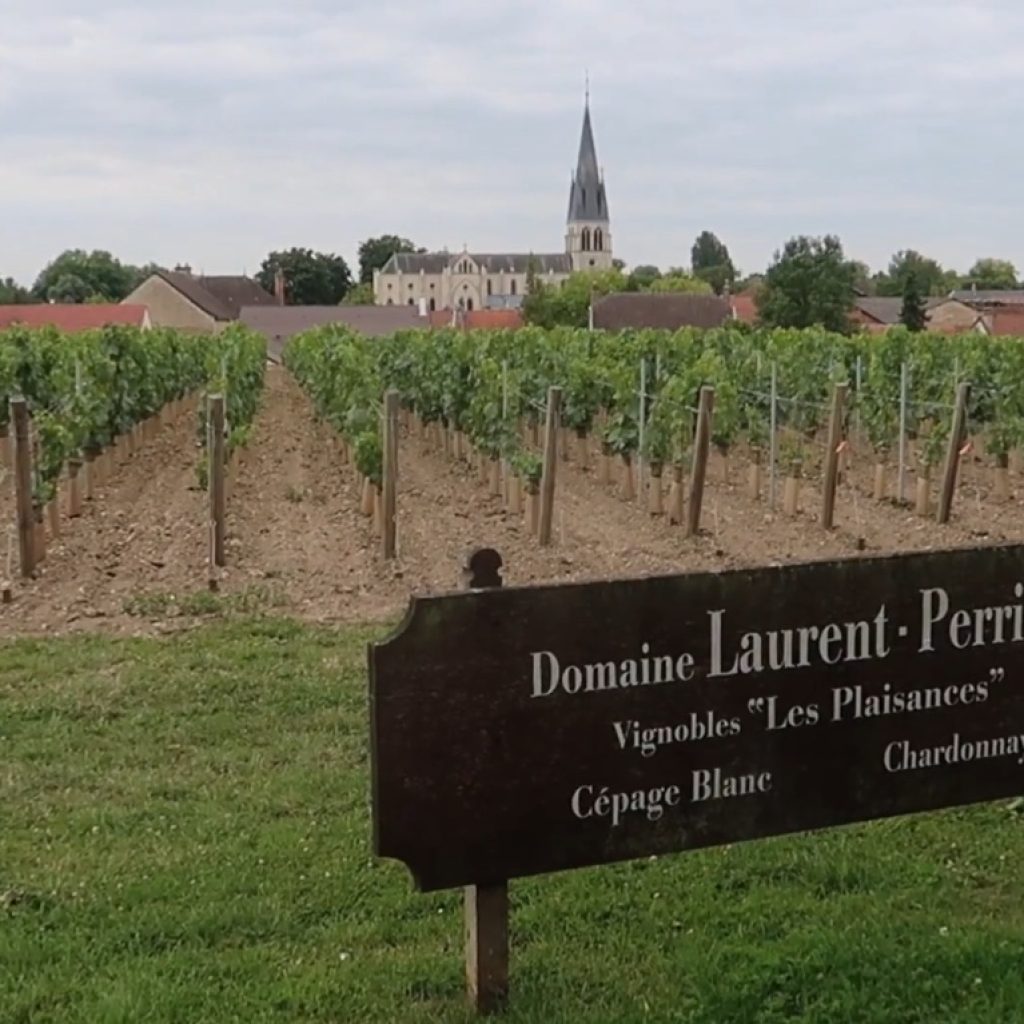 Champagne-Wineries-Vineyards-Tour