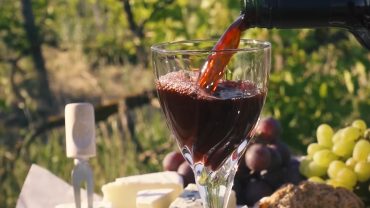 French-Wineries-Vineyards-Tour
