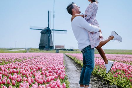 Grand Europe Highlights Tour Paris to Amsterdam